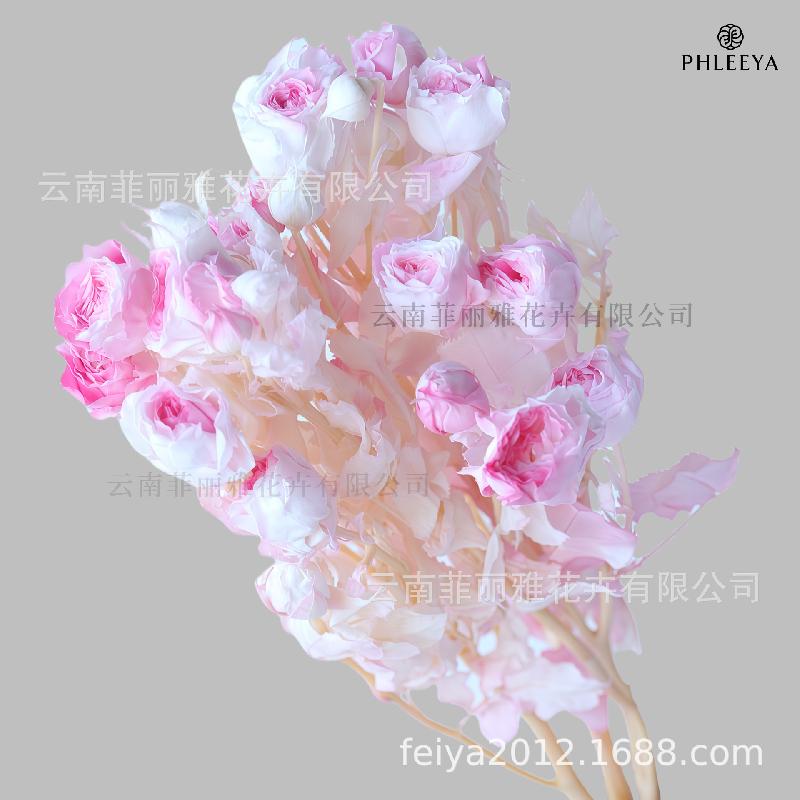 Hoa hồng chùm vĩnh cửu DIY hoa khô làm bó hoa cao cấp (HK-9)