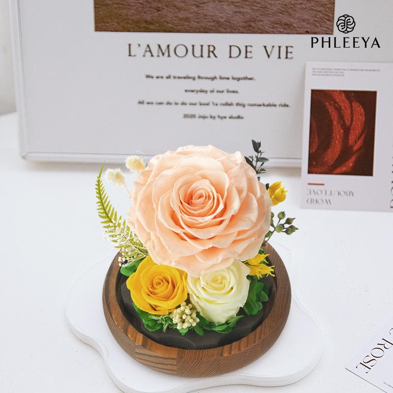 Hoa hồng vĩnh cửu lồng kính quả cầu vũ trụ quà Valentine (HK-113)