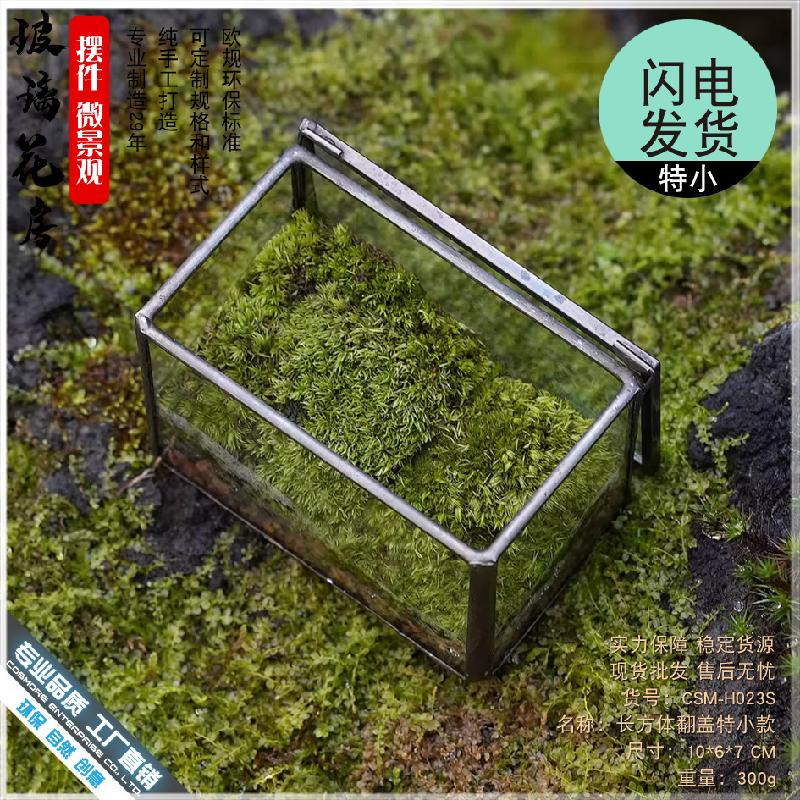 植觉苔藓植物微景观玻璃盒子微缩造景生态瓶桌面盆栽家居摆件花盆