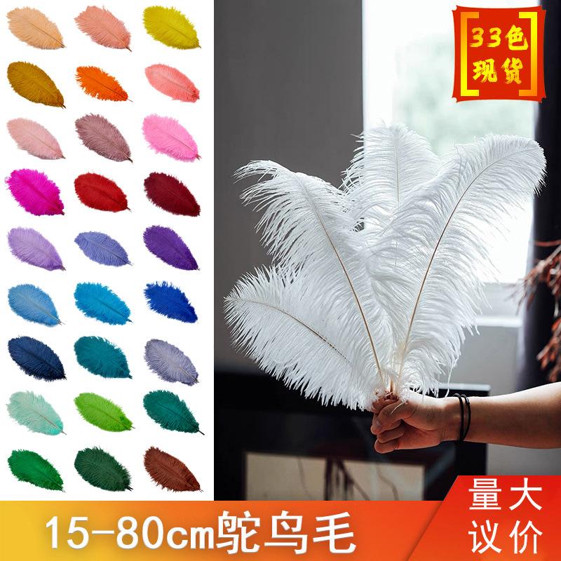 Lông đà điểu trắng từ 15-80cm, lý tưởng cho trang trí sân khấu và sự kiện. Cung cấp số lượng lớn cho đám cưới và DIY. Sẵn có hàng, mua bán buôn.