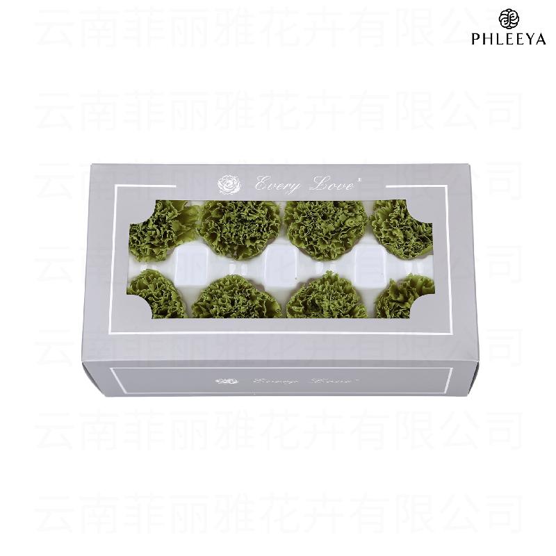 Hoa cẩm chướng vĩnh cửu 8 bông DIY quà Ngày của Mẹ (HK-30)