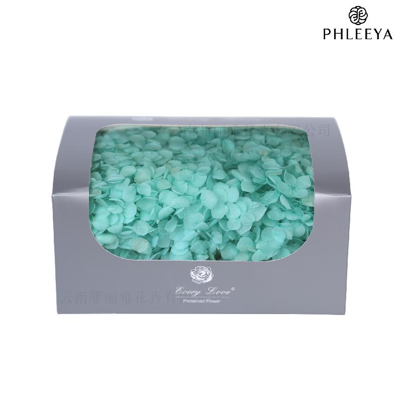 Cẩm tú cầu Anna vĩnh cửu 20g DIY hoa khô trang trí (HK-32)