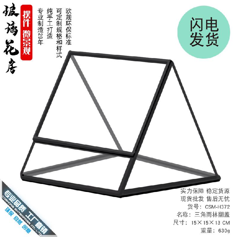 生态瓶雨林缸苔藓微景观造景玻璃花房子