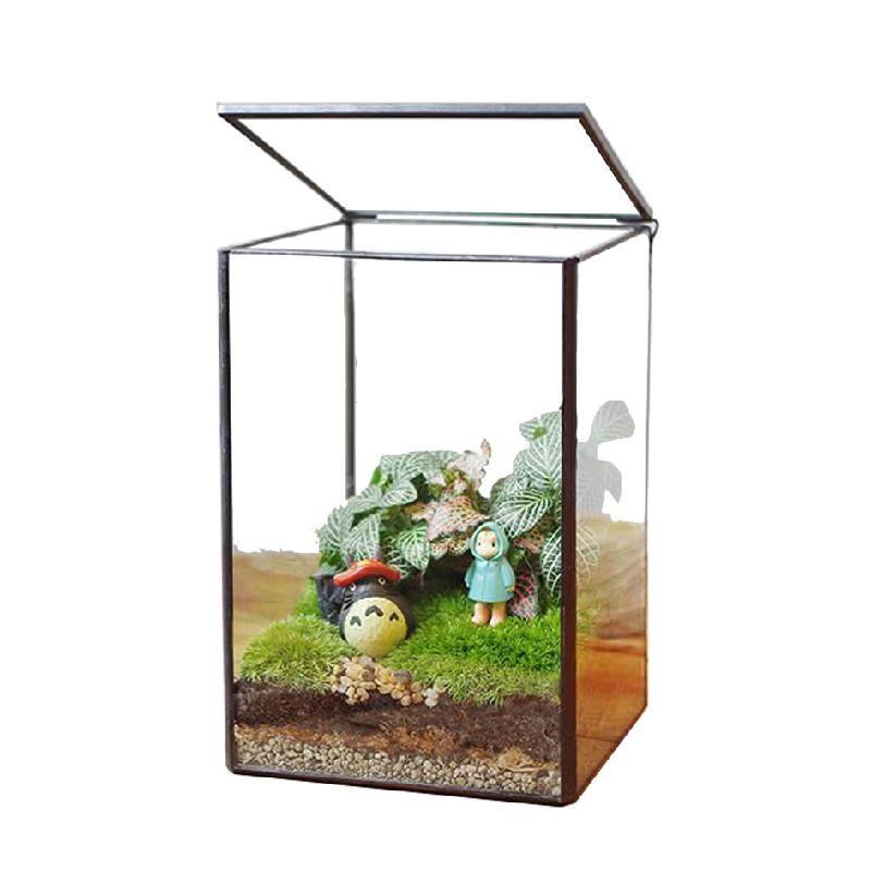 DG-4 Các cảnh quan nhỏ, rừng mưa, hộp sinh thái, cảnh quan tạo, hình hộp, kính, phòng hoa, sáng tạo, các bồn cây, hình vuông