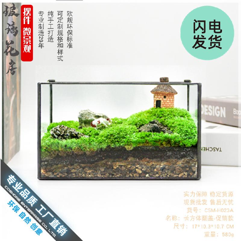 Bình sinh thái rêu cảnh mini (DG-3)