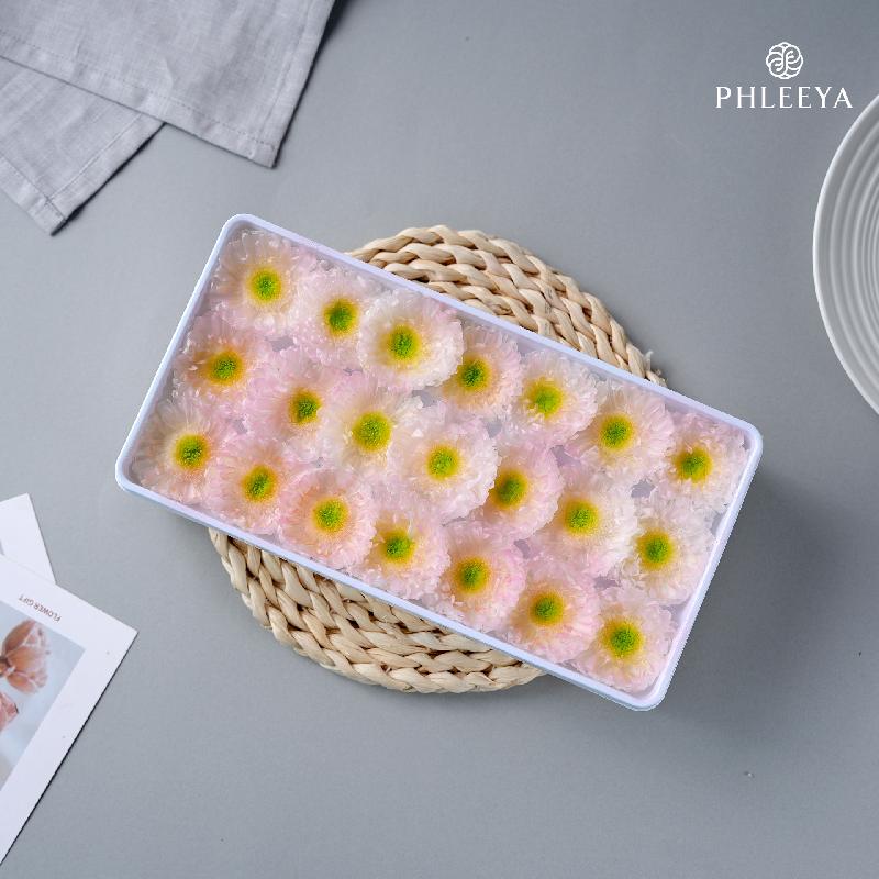 Hoa cúc vĩnh cửu DIY hoa khô cắm bình trang trí (HK-37)