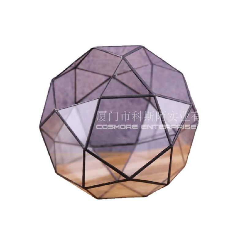 DG-249 Cảnh quan nhỏ mưa rừng thiết kế cảnh sắc sinh thái chai thủy tinh nồi cơm hoa phòng trong suốt sáng tượng tượng hoa bình 32 mặt