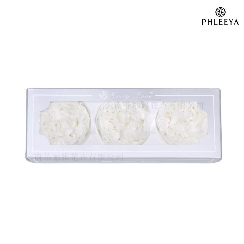 Hoa mẫu đơn vĩnh cửu 7–8cm 3 bông hạng A DIY hoa trang trí (HK-24)
