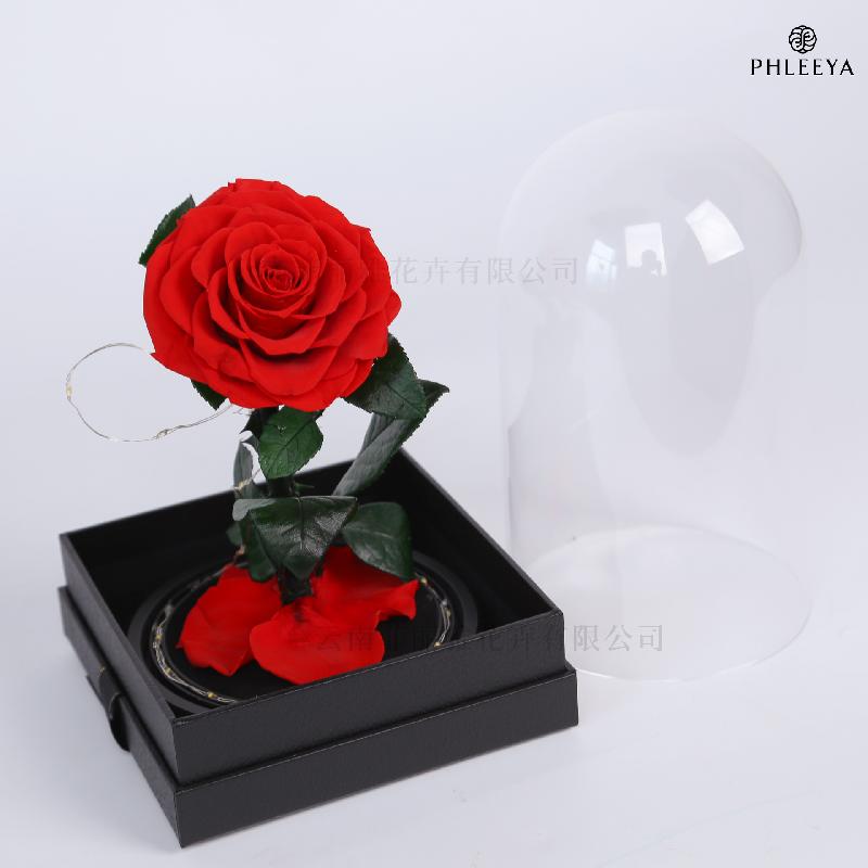 Hoa hồng vĩnh cửu hộp mica Hoàng tử bé quà Thất Tịch Valentine (HK-42)