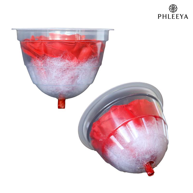 Hoa hồng vĩnh cửu hạng A DIY hộp quà Valentine (HK-145)