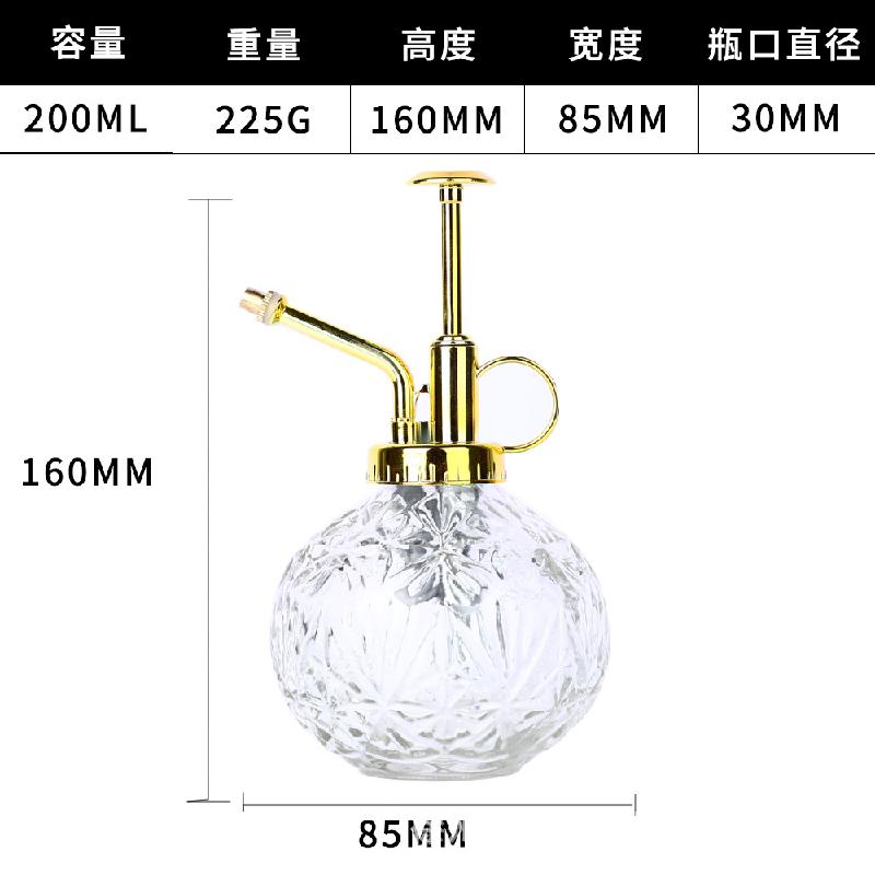 金头+透明