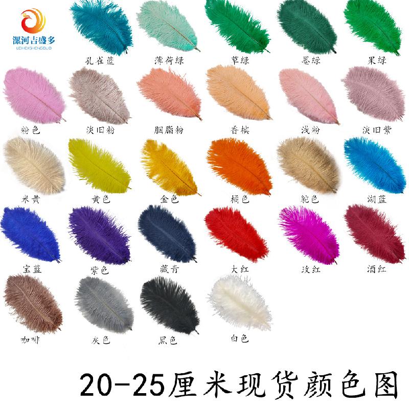 Lông đà điểu trắng từ 15-80cm, lý tưởng cho trang trí sân khấu và sự kiện. Cung cấp số lượng lớn cho đám cưới và DIY. Sẵn có hàng, mua bán buôn.
