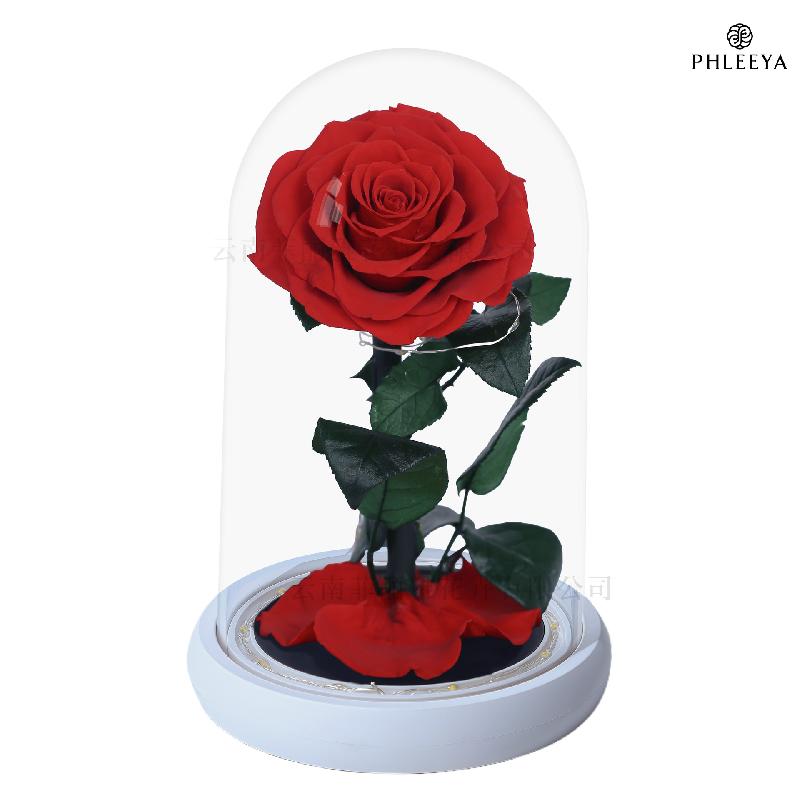 Hoa hồng vĩnh cửu hộp mica Hoàng tử bé quà Thất Tịch Valentine (HK-42)
