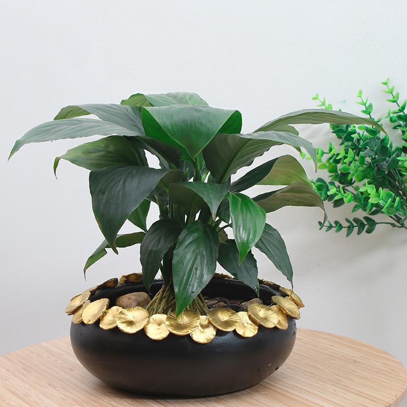 Chậu trồng sen không lỗ resin cỡ lớn, chậu thủy sinh trồng sen, thủy tiên, trầu bà và rau ban công (RG-130)