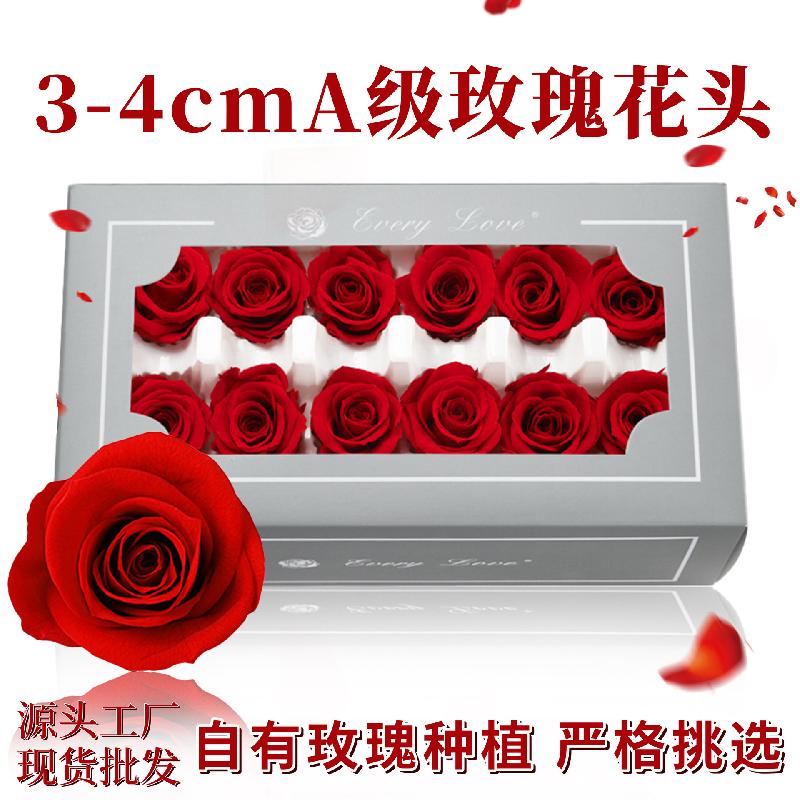 Hoa hồng vĩnh cửu 3–4cm 12 bông DIY bó hoa hoa khô (HK-19)
