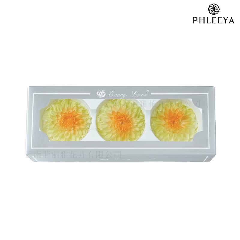 Hoa thược dược vĩnh cửu 7–8cm chuyển màu DIY hoa trang trí cưới (HK-21)
