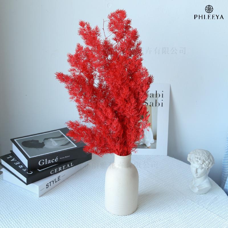 Lá tùng Bồng Lai vĩnh cửu DIY hoa khô cắm bình lồng kính (HK-43)