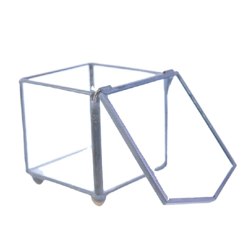 DG-237 Hộp trang sức nằm ngược cấu trúc, cây thực vật mộc mạc, cảnh quan nhỏ độc đáo, kính lớn bất quy tắc