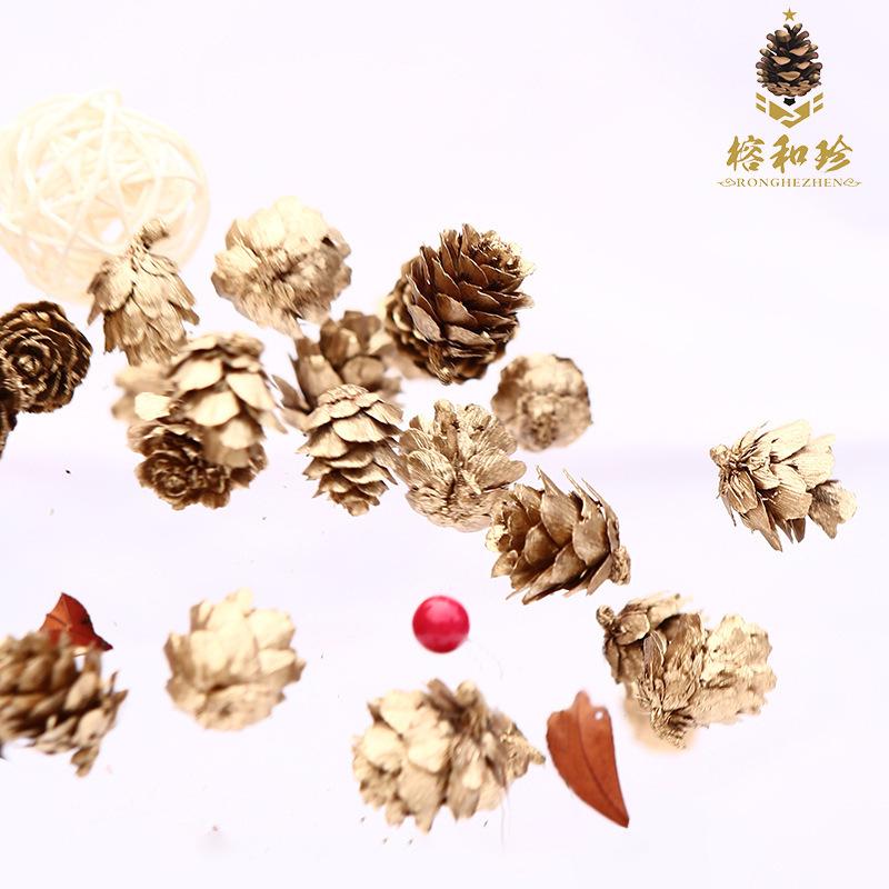 Trang trí Noel: Quả thông vàng, quả nhuộm và quả linh sam