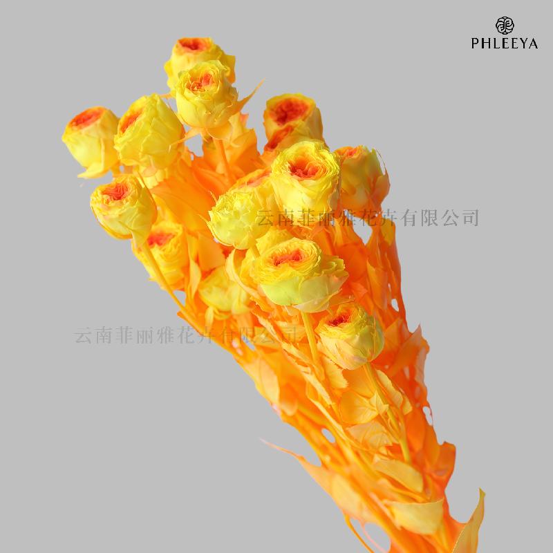 Hoa hồng chùm vĩnh cửu DIY hoa khô làm bó hoa cao cấp (HK-9)