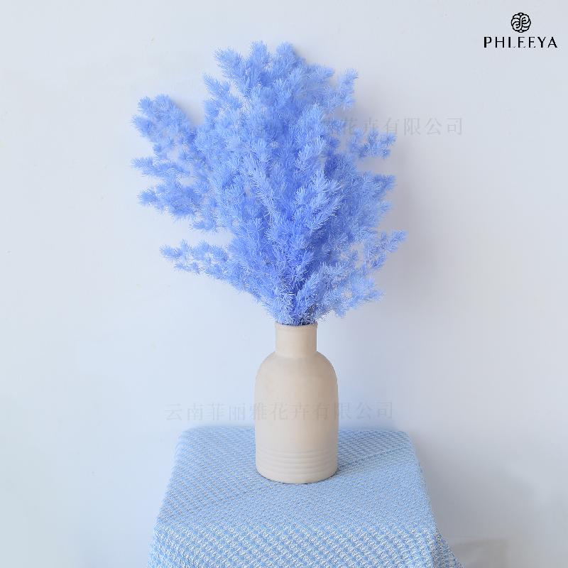 Lá tùng Bồng Lai vĩnh cửu DIY hoa khô cắm bình lồng kính (HK-43)