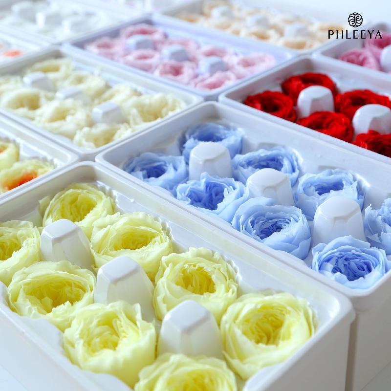 Hoa hồng Austin vĩnh cửu 8 bông DIY hoa khô quà tặng cao cấp (HK-4)