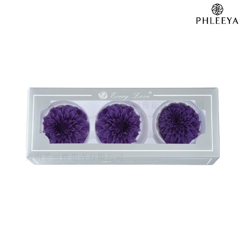 Hoa thược dược vĩnh cửu 7–8cm chuyển màu DIY hoa trang trí cưới (HK-21)
