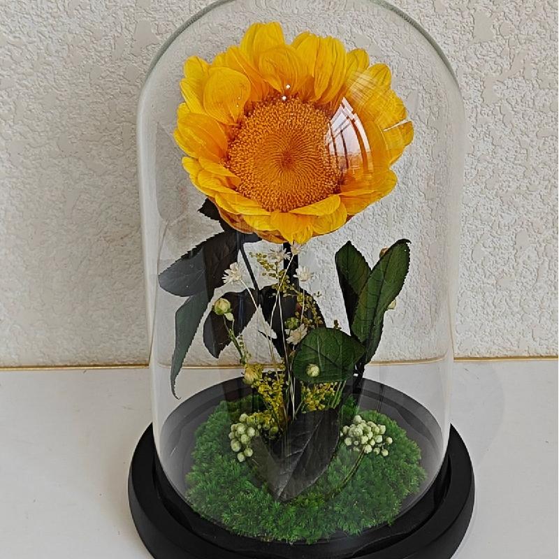 Hoa hồng vĩnh cửu lồng kính Hoàng tử quà Thất Tịch Valentine (HK-28)