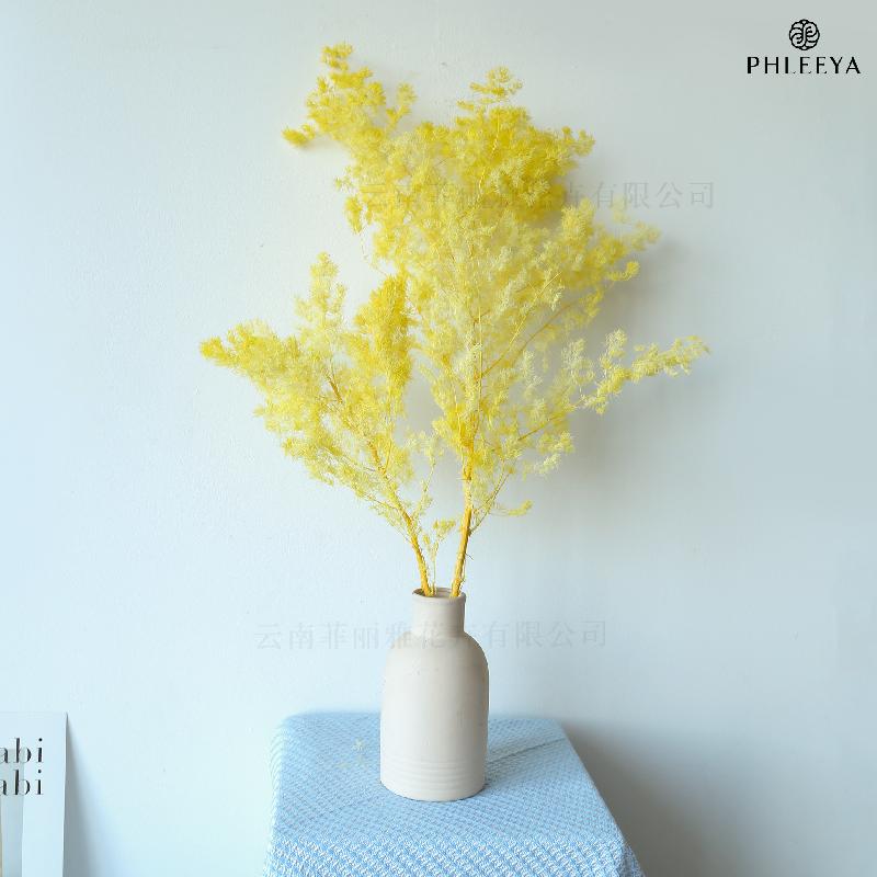 Lá tùng Bồng Lai vĩnh cửu DIY hoa khô cắm bình lồng kính (HK-43)