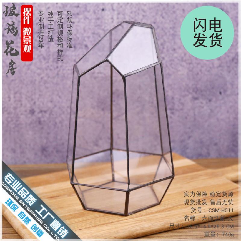 DG-8 Cây thực vật lá cứng, phòng kính thủy tinh, hộp sinh thái nhỏ, quà tặng sáng tạo và hàng loạt cắt lớn