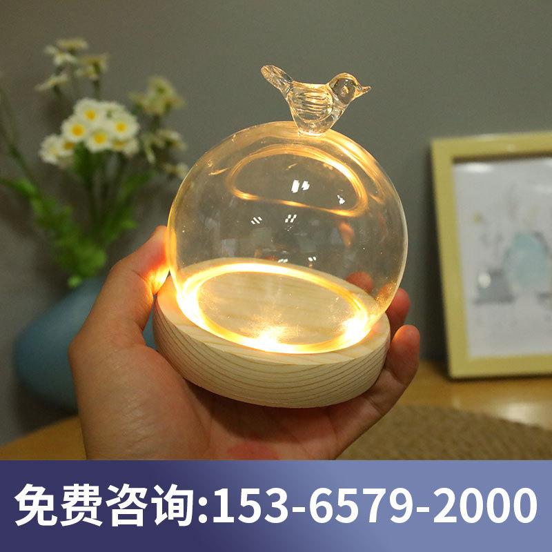 Cầu Thuỷ Tinh Có Núm Và Đèn Led (MJA-10)