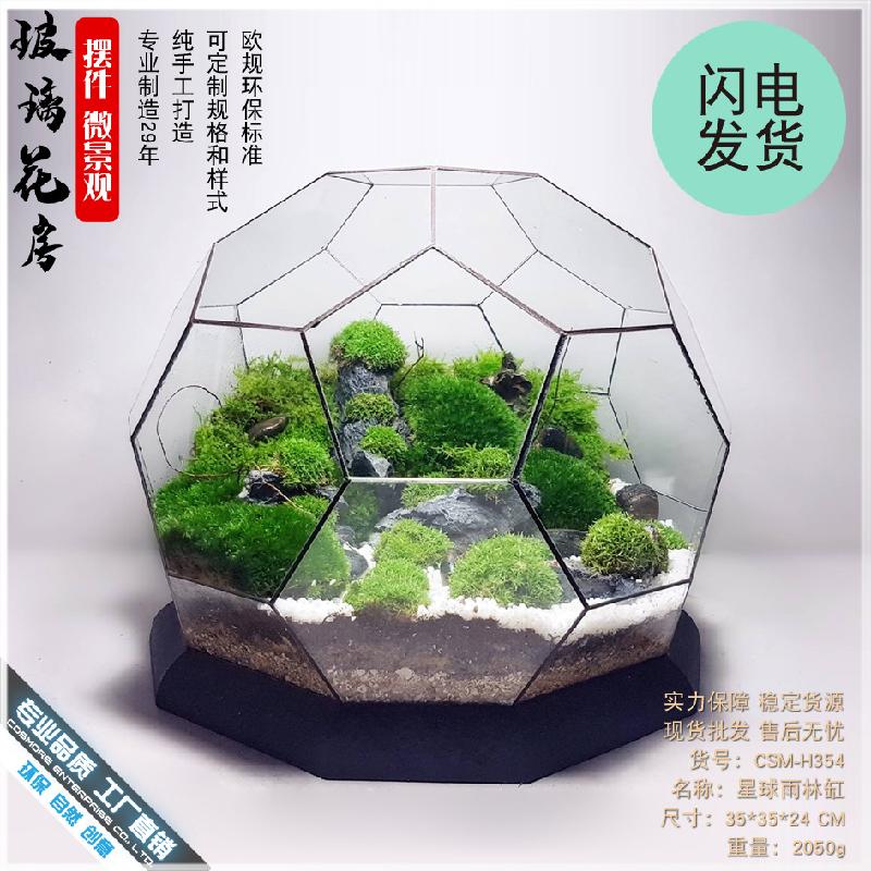 微景观雨林玻璃罩几何花房装饰摆件办公室造景生态瓶星球形花器皿