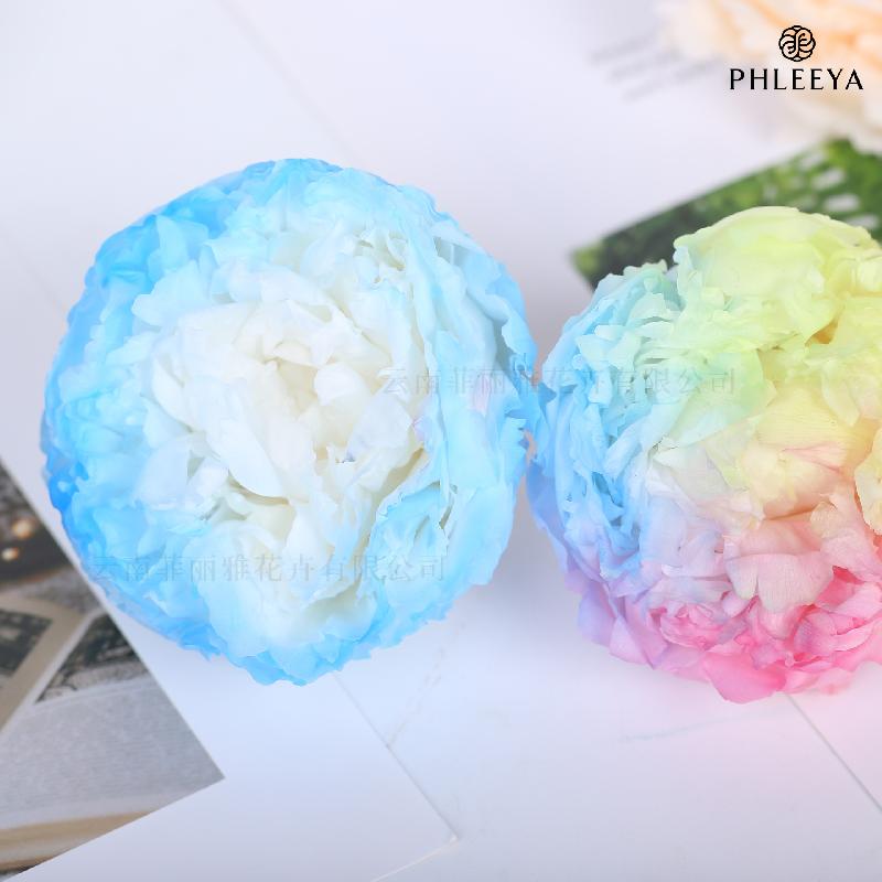 Hoa mẫu đơn vĩnh cửu 7–8cm 3 bông hạng A DIY hoa trang trí (HK-24)
