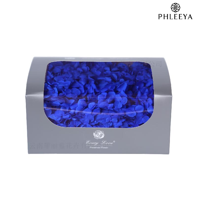 Cẩm tú cầu Anna vĩnh cửu 20g DIY hoa khô trang trí (HK-32)