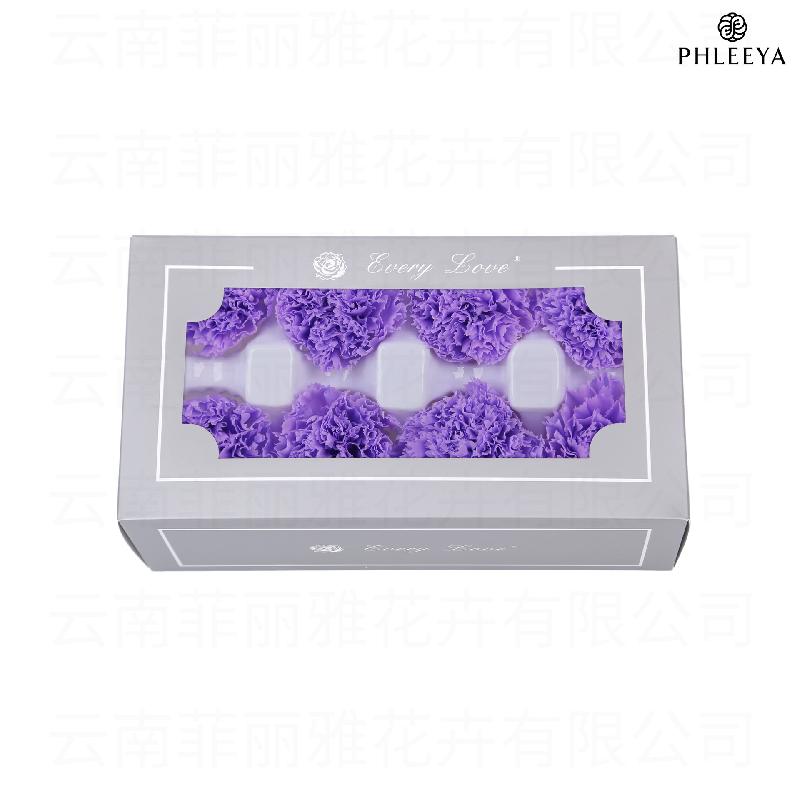 Hoa cẩm chướng vĩnh cửu 8 bông DIY quà Ngày của Mẹ (HK-30)