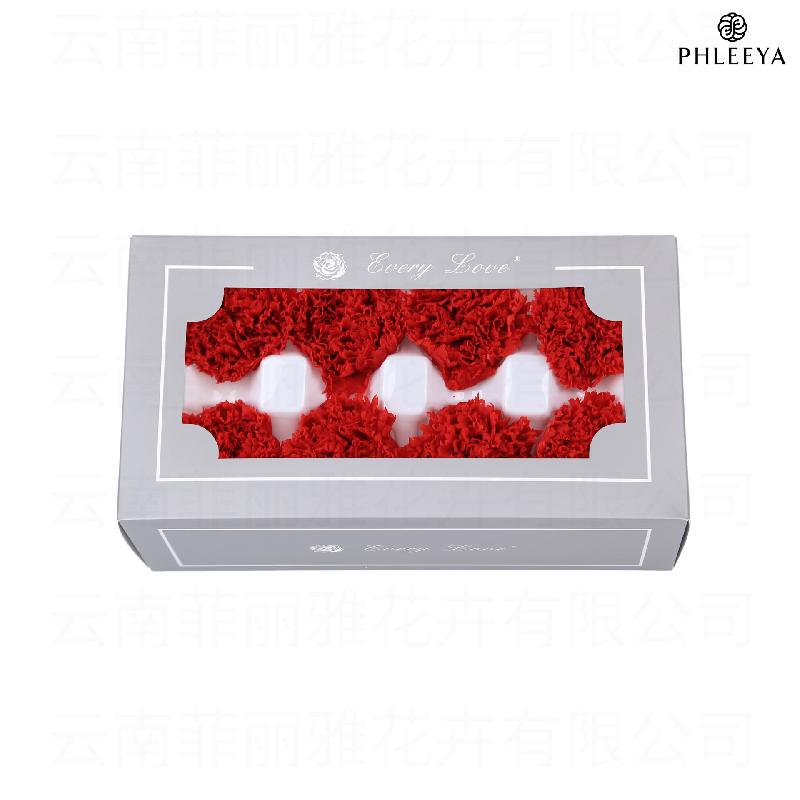 Hoa cẩm chướng vĩnh cửu 8 bông DIY quà Ngày của Mẹ (HK-30)