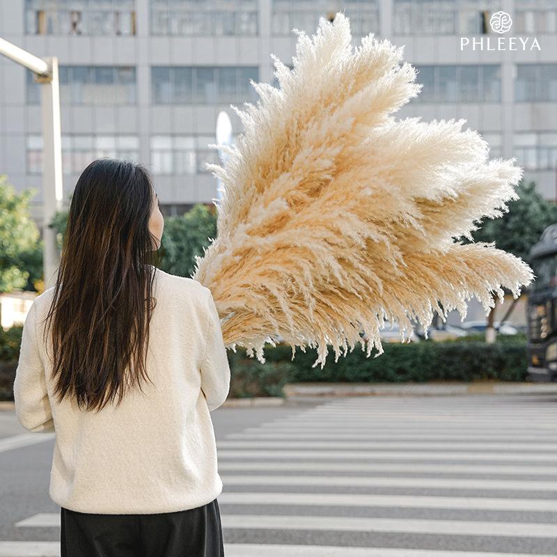 Cỏ lau Pampas khô bó hoa trang trí cưới phong cách châu Âu (HK-61)