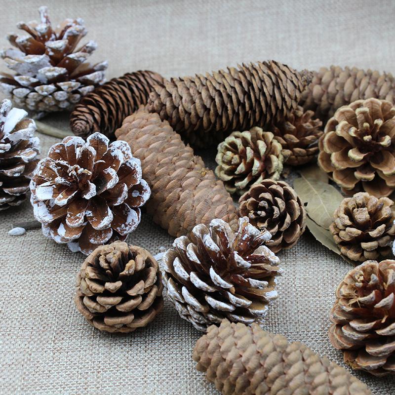 Đồ trang trí Giáng Sinh: Chùm thông nguyên bản, sơn trắng. Lý tưởng cho trang trí cây thông Noel và chụp ảnh.