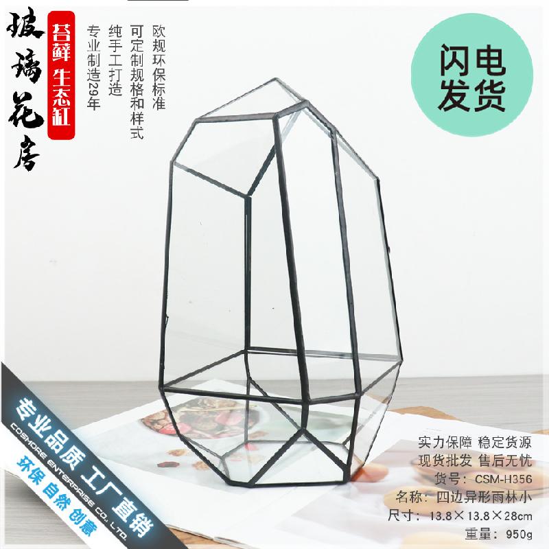 Bể Terrarium rừng mưa mini (DG-45)