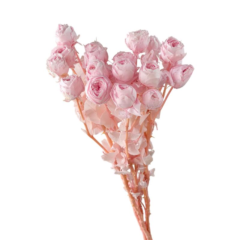 Hoa hồng chùm vĩnh cửu DIY hoa khô làm bó hoa cao cấp (HK-75)