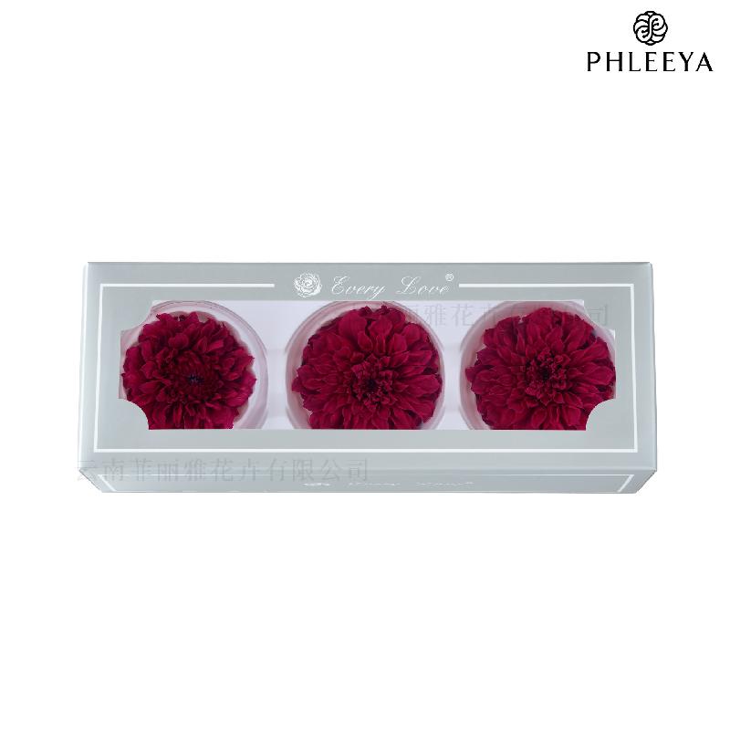 Hoa thược dược vĩnh cửu 7–8cm chuyển màu DIY hoa trang trí cưới (HK-21)