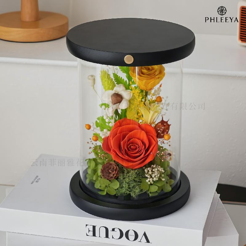 Đèn ngủ lồng kính hoa hồng vĩnh cửu quà sinh nhật Valentine (HK-25)