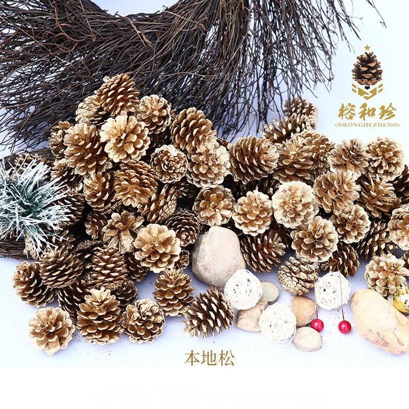 Trang trí Noel: Quả thông vàng, quả nhuộm và quả linh sam