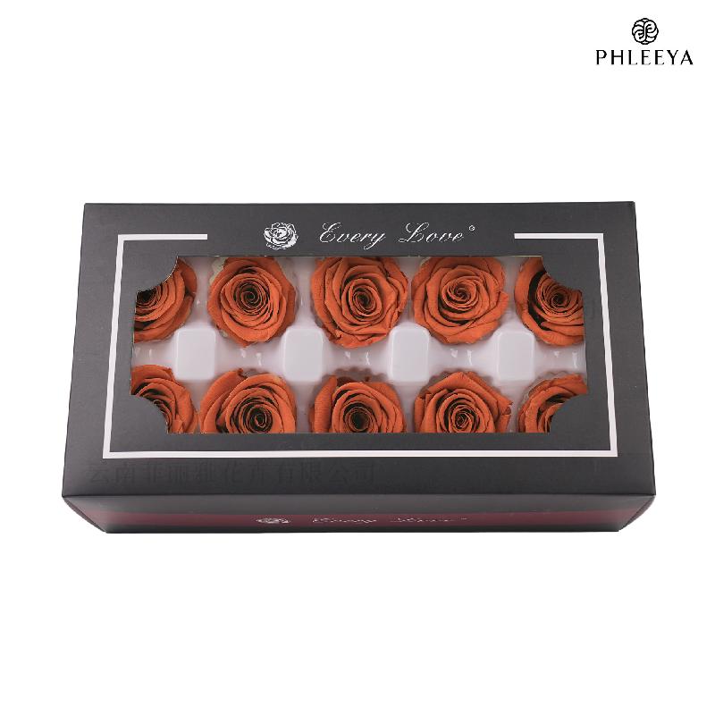 Hoa hồng vĩnh cửu 4cm hạng B 10 bông DIY hoa khô cao cấp (HK-8)