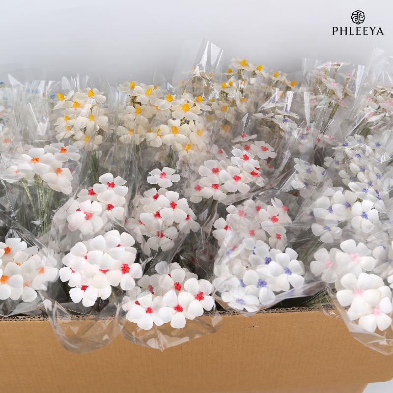 Hoa violet khô DIY hoa trang trí nhà cửa hoa giả (HK-27)