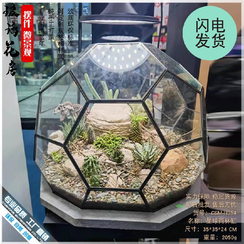 Chậu Đa Giác 微景观雨林玻璃罩几何花房装饰摆件办公室造景生态瓶星球形花器皿