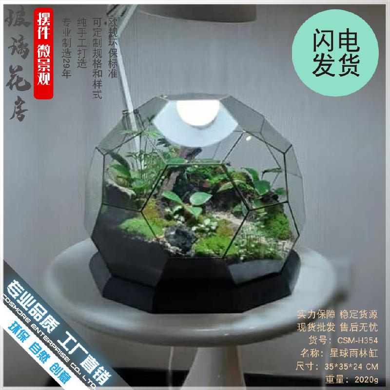 微景观雨林玻璃罩几何花房装饰摆件办公室造景生态瓶星球形花器皿