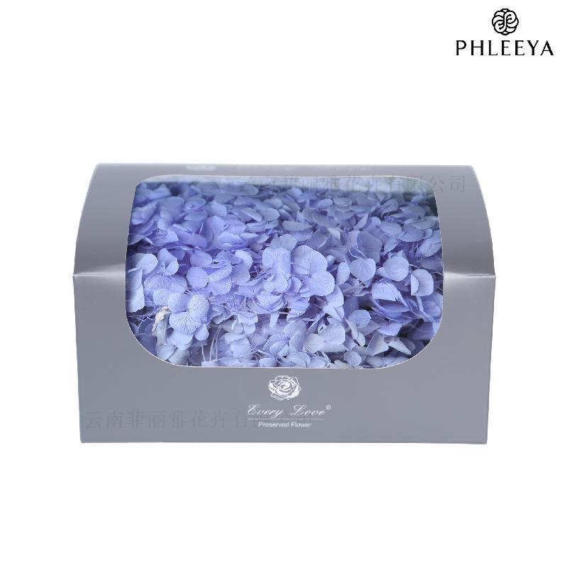 Cẩm tú cầu Anna vĩnh cửu 20g DIY hoa khô trang trí (HK-32)