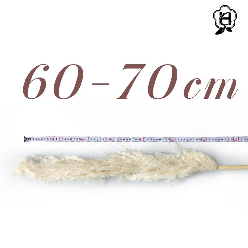 Cỏ lau Pampas khô bó hoa trang trí cưới phong cách châu Âu (HK-61)