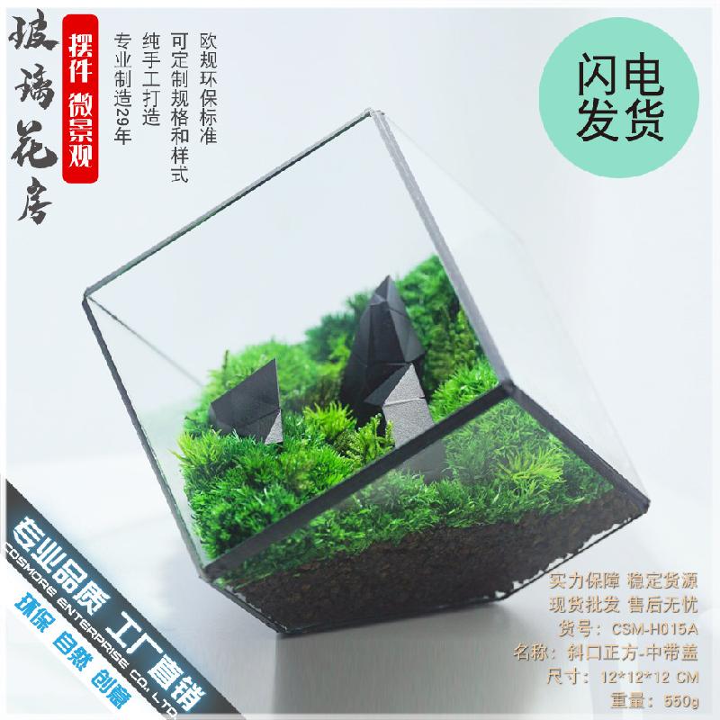 Chậu Đa Giác DG-53 Hộp kính thủy tinh có nắp với cây thực vật mọc mịn, thảo mộc vật phẩm nhỏ, hoa bền vững nhỏ